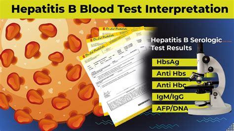 p h u b|Understanding Your Hepatitis B Blood Tests.